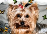 Logo for Maree SACHA-LEE Logo for Maree SACHA-LEE